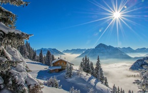 forest, snow, mountain, nature, sun rays, winter