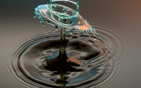 water, macro, water drops