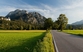 mountain, pine trees, nature, landscape, road, forest