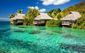 nature, sea, landscape