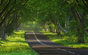 road, landscape