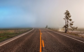 road, landscape, nature