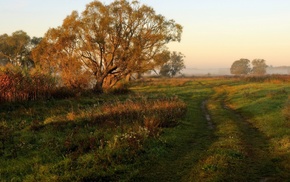 landscape, nature