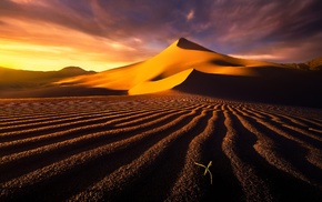 landscape, desert, dune