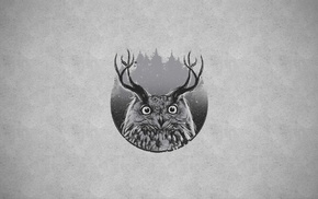 forest, owl