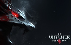 The Witcher 3 Wild Hunt