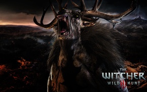 The Witcher 3 Wild Hunt