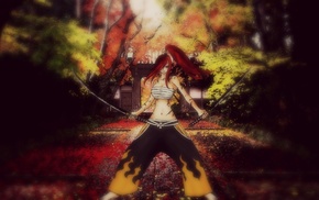 Fairy Tail, Scarlet Erza, anime