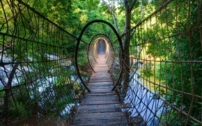 nature, bridge