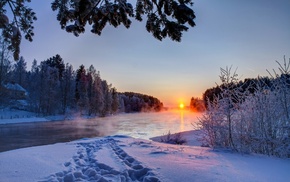 winter, landscape, nature