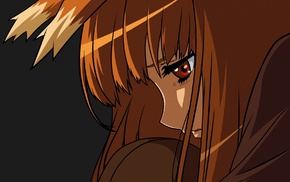 Spice and Wolf, Holo
