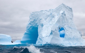 nature, sea, iceberg