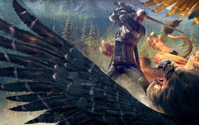 The Witcher 3 Wild Hunt, video games