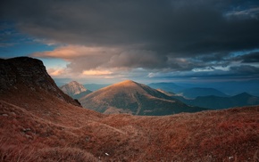 nature, landscape