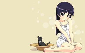 Gokou Ruri, Ore no Imouto ga Konnani Kawaii Wake ga Nai