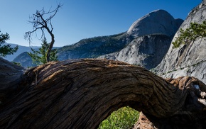 trees, nature, Yosemite National Park, landscape, California, mountain