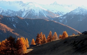 mountain, landscape, nature, forest