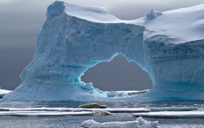 nature, iceberg, landscape, sea, seals