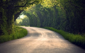 nature, blurred, path, tunnel, trees, road