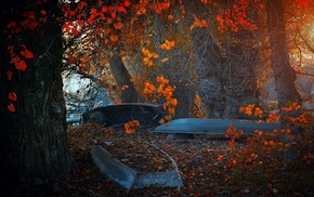 fall, nature, boat, red, blue, leaves