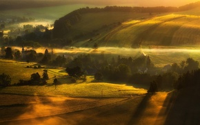 morning, villages, mist, nature, field, trees