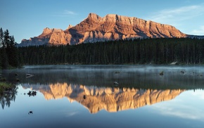 forest, nature, mountain, lake, landscape