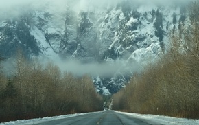 nature, landscape, forest, mountain, road, trees