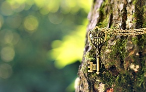 keys, depth of field, chains, photography, owl, green