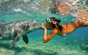 sea, dolphin, swimwear, kissing, long hair, brunette