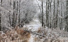 landscape, nature, winter, snow, trees