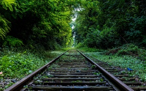 rail yard, trees, nature