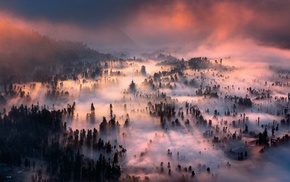 clouds, mountain, landscape, valley, forest, mist