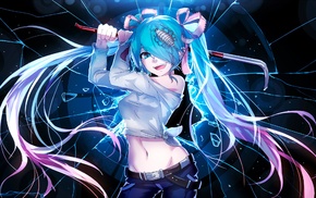 Vocaloid, anime, Hatsune Miku