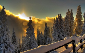 sunset, fence, snow, winter, trees, landscape
