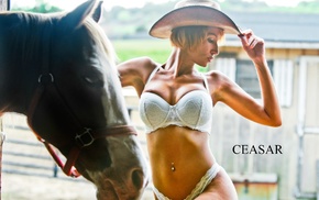 model, lingerie, Ceasar Ron, girl, horse