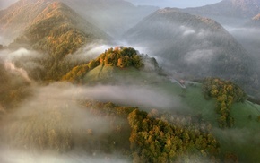 nature, mist, mountain, sunrise, landscape, forest