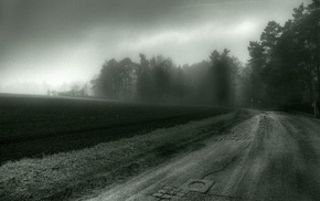 mist, spooky, road, trees