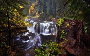 pnwwonderland, waterfall, landscape, nature, lowerlewisfalls