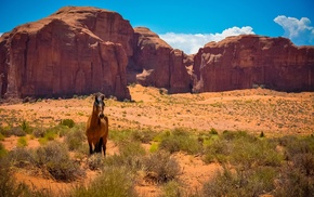landscape, nature, sandstone, desert, horse