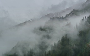 Alaska, clouds, mist, Tracy Arm, forest
