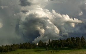 nature, grass, trees, forest, field, clouds