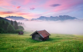 mist, Alps, landscape, nature, grass