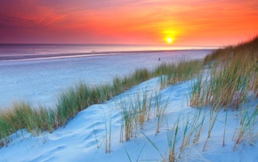 sunset, purple, grass, Netherlands, beach, yellow