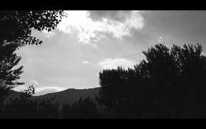monochrome