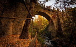 landscape, bridge, leaves, fall