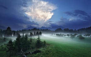 grass, clouds, nature, mist, landscape, night