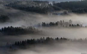 nature, landscape