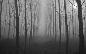 landscape, spooky, nature