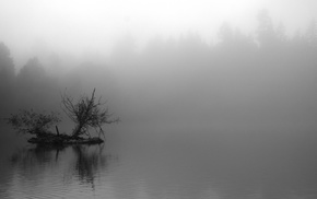 nature, landscape