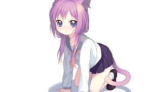 nekomimi, anime girls